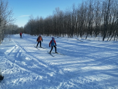 Бег (ходьба) на лыжах — это единственный норматив ГТО, который можно сдавать только зимой.